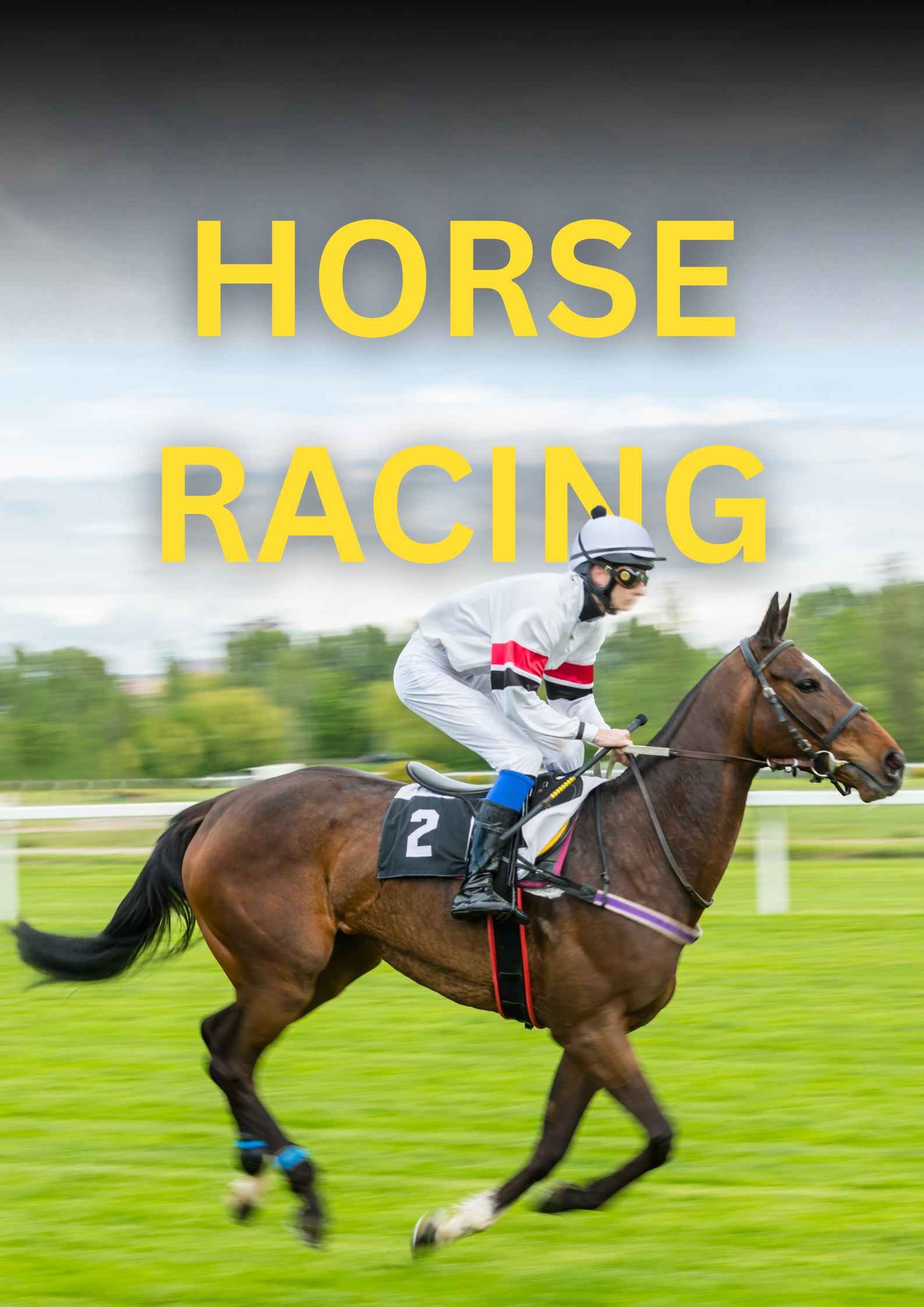 Horse Racing